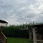 ξύλινη φωλιά - Wooden Nest
