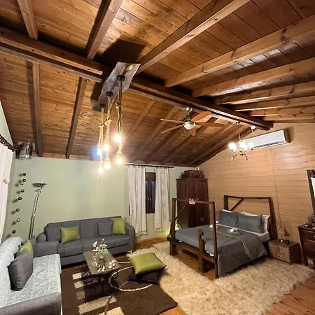 Ξύλινη Φωλιά - Wooden Nest