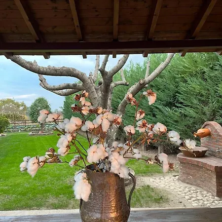 Holiday home ξύλινη φωλιά - Wooden Nest