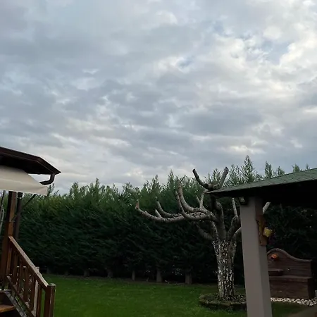 Ξύλινη Φωλιά - Wooden Nest