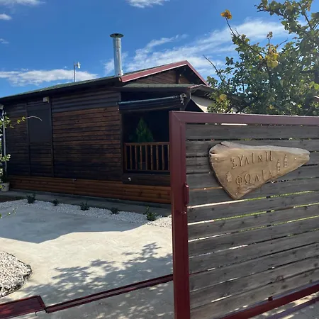 ξύλινη φωλιά - Wooden Nest * Trikala (Thessaly)