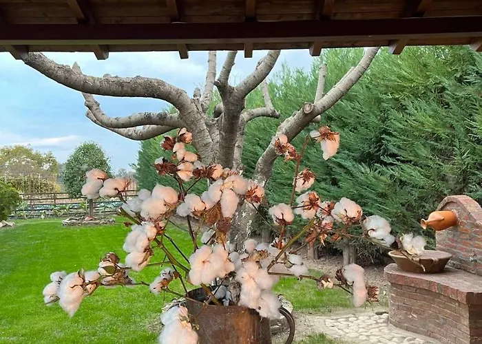 Vakantiehuis Ξύλινη Φωλιά - Wooden Nest