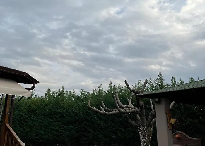 Ξύλινη Φωλιά - Wooden Nest